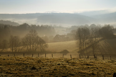 Germany, North Rhine-Westphalia, Bergisches Land, Ruppichteroth, landscape at morning mist - ONF000582