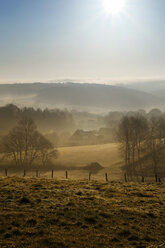 Germany, North Rhine-Westphalia, Bergisches Land, Ruppichteroth, landscape at morning mist - ONF000583