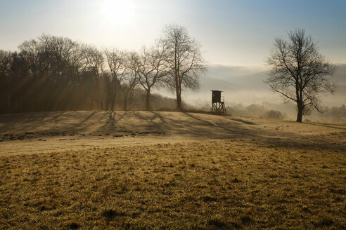 Deutschland, Nordrhein-Westfalen, Bergisches Land, Landschaft mit Hochsitz im Morgennebel - ON000584