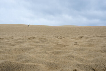 France, Aquitaine, Gironde, Pyla sur Mer, Dune du Pilat, running boy on a desertlike sand dune - JBF000139