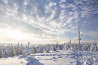 Skandinavien, Finnland, Rovaniemi, Wald, Bäume im Winter, Antennenmast, Gegen die Sonne - SR000545