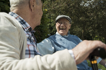 Two old friends having fun in the park - UUF000678