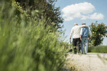 Zwei alte Freunde gehen im Park spazieren, Rückansicht - UUF000689