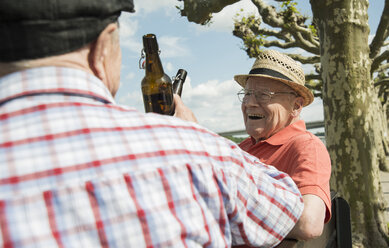 Zwei alte Freunde stoßen mit Bierflaschen im Park an - UUF000724