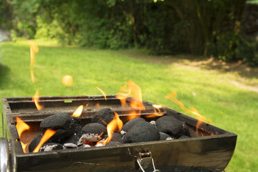 Verbrennung von Kohlebriketts auf dem Grill im Garten - ONF000587