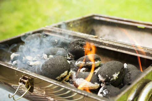 Burning coal briquets on grill in garden - ONF000590