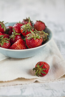 Schale mit Erdbeeren, Fragaria - SBDF000974