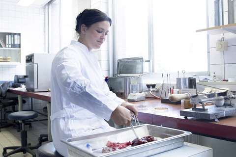 Lebensmittelanalytikerin bei der Arbeit im Labor, lizenzfreies Stockfoto