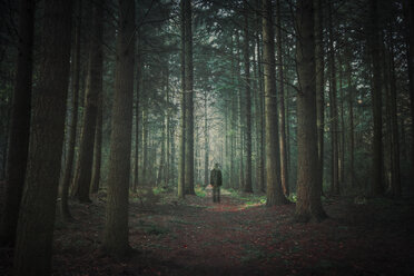 Person, die im dunklen Wald spazieren geht, Entfremdung - DWI000074