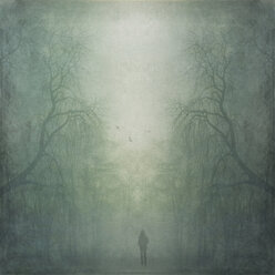 Person walking through misty forest, composite - DWI000076