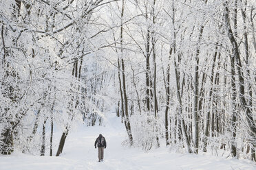 Germany, Rhineland-Palatinate, Palatinate Forest, Hiker on hiking path - GWF002884