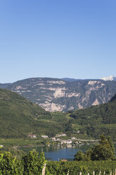 Italien, Südtirol, Kalterer See, Lago di Caldaro, Weinbaugebiet - GW002892