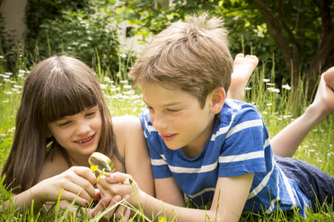 Portrait of brother and sister lying on meadow in the garden having fun with magnifying glass - LVF001373