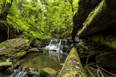 Deutschland, Baden-Württemberg, Schwäbisch-Fränkischer Naturpark, Struempfelbachschlucht mit Wasserfall - STS000405