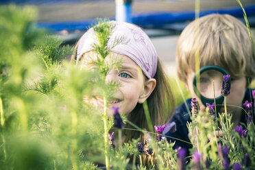 Brother and sister watching flowers with magnifying glass - SARF000672