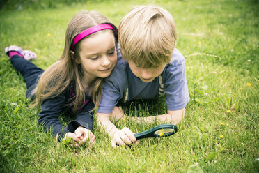 Brother and sister lying on meadow watching flowers with magnifying glass - SARF000674