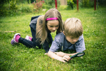 Brother and sister watching flowers with magnifying glass on meadow - SARF000677