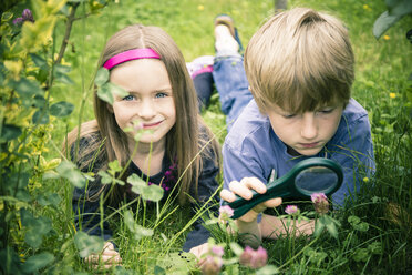 Brother and sister lying on meadow watching flowers with magnifying glass - SARF000678