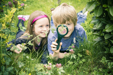 Brother and sister lying on meadow watching flowers with magnifying glass - SARF000679