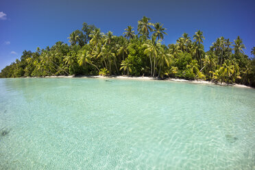 Micronesia, Palau, Peleliu, lagoon with palm-lined beach - JWAF000051