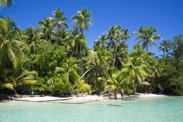 Micronesia, Palau, Peleliu, lagoon with palm-lined beach - JWAF000052