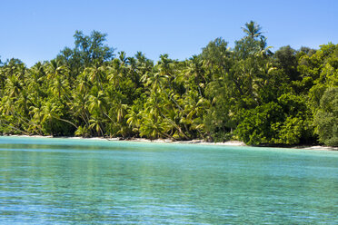 Micronesia, Palau, Peleliu, lagoon with palm-lined beach - JWAF000053
