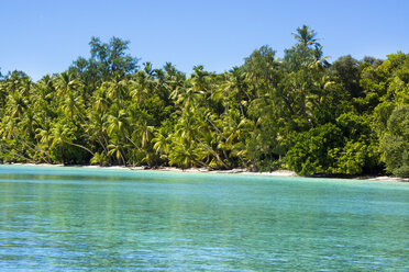 Mikronesien, Palau, Peleliu, Lagune mit palmengesäumtem Strand - JWAF000053