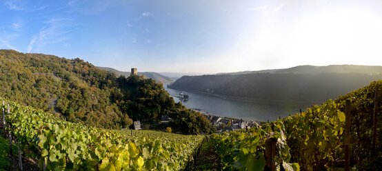 Deutschland, Rheinland-Pfalz, Kaub, Burg Gutenfels und Burg Pfalzgrafenstein am Rhein - AMF002324