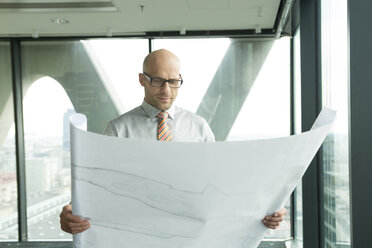 Businessman in office looking at blueprint - WESTF019369