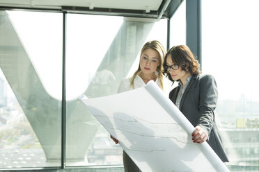 Two businesswomen in office looking at blueprint - WESTF019373