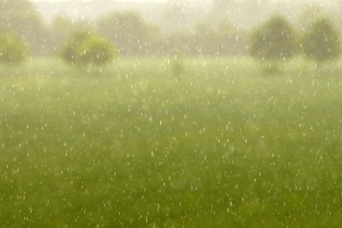 Deutschland, Nordrhein-Westfalen, Minden, Weserauen, Regenwetter, lizenzfreies Stockfoto