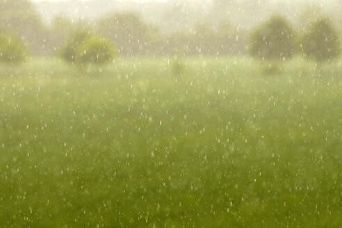 Deutschland, Nordrhein-Westfalen, Minden, Weserauen, Regenwetter - HOHF000832