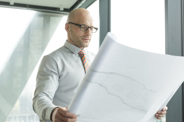 Businessman in office looking at blueprint - WESTF019454