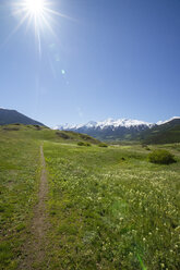 Italien, Südtirol, Mals, Tartscher Bühel, Wanderweg - MYF000316