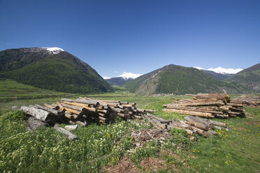 Italien, Südtirol, Mals, Tartscher Bühel, Baumstämme - MYF000320