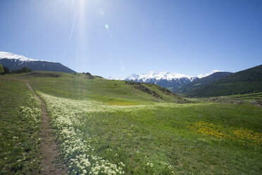 Italien, Südtirol, Mals, Tartscher Buehel, Blick auf Ortler Alpen - MYF000321