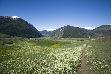 Italy, South Tyrol, Mals, Tartscher Buehel, Hiking path - MYF000322