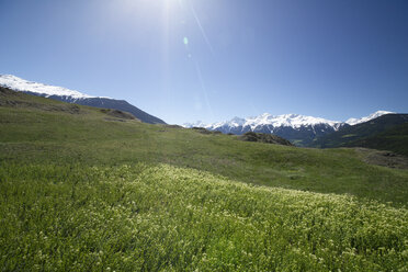 Italien, Südtirol, Mals, Tartscher Buehel, Blick auf Ortler Alpen - MYF000323