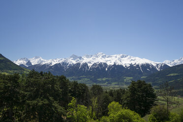 Italy, South Tyrol, Mals, Tartscher Buehel, View to Ortler Alps - MYF000326