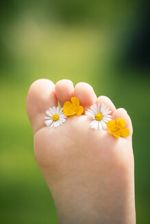 Fußsohle eines kleinen Mädchens mit Gänseblümchen, Bellis perennis, und Hahnenfuß, Ranunculus - SARF000691
