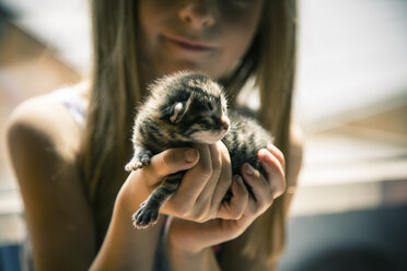Kleines Mädchen hält Kätzchen in ihren Händen - SARF000696