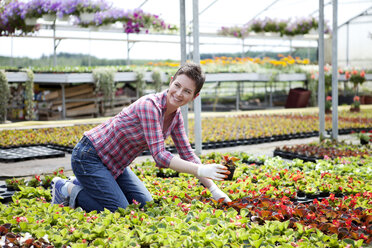 Female gardener working in greenhouse - MAEF008434