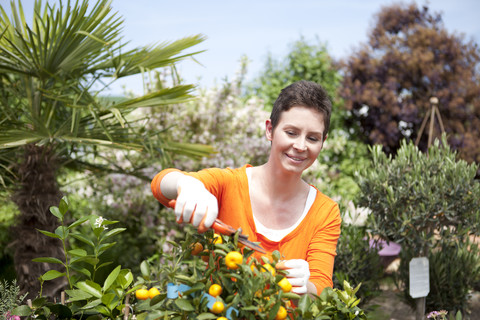 Porträt einer Gärtnerin, die einen Zitronenbaum in einem Gartencenter beschneidet, lizenzfreies Stockfoto