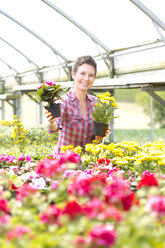 Porträt einer Gärtnerin, die in einem Gewächshaus Topfpflanzen anbietet - MAEF008449