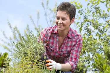 Portrait of female gardener working in garden centre - MAEF008423