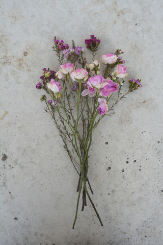 Verwelkter Blumenstrauß auf Beton, lizenzfreies Stockfoto