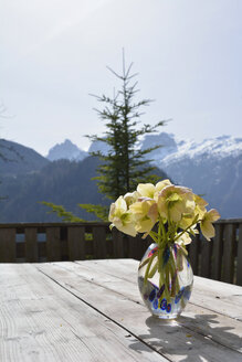 Österreich, Abtenau, Strauß Winterrosen, Helleborus niger, auf einem alten Holztisch vor einer Bergkulisse - AXF000692