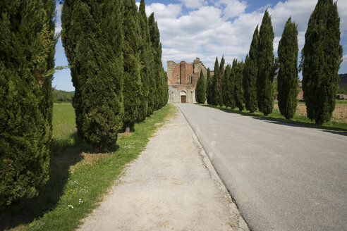 Italien, Toskana, Zufahrtsstraße zur Abbazia San Galgano - MY000333