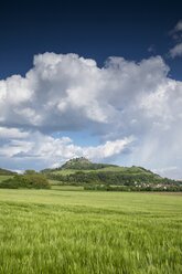 Deutschland, Baden-Württemberg, Landkreis Konstanz, Hegau, Blick auf den Hohentwiel, Gerstenfeld - ELF001062