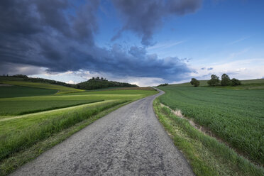 Germany, Baden-Wuerttemberg, Constance district, Hegau, Country road to Maegdeberg - ELF001067